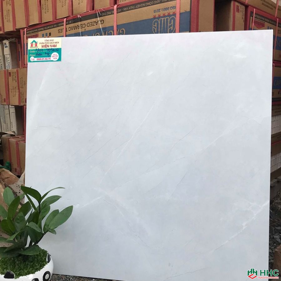 Gạch lát nền đẹp 60x60 KA177059